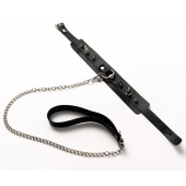 Черный ошейник с шипами и поводком - Crazy Handmade - купить с доставкой в Тюмени