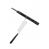 Кожаный двухслойный ошейник с белой строчкой и поводком - Pecado - купить с доставкой в Тюмени