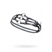 Черный кожаный пояс с кольцами - Pecado - купить с доставкой в Тюмени