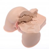 Мастурбатор-полуторс Naked Factory Kate - Naked Factory - в Тюмени купить с доставкой