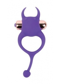 Фиолетовое эрекционное виброкольцо с рожками и хвостиком - Bior toys - в Тюмени купить с доставкой