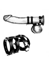 Комбинированное двойное кольцо с разделителем для мошонки и поводком - BlueLine - купить с доставкой в Тюмени