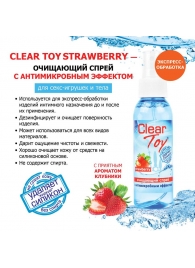 Очищающий спрей для игрушек CLEAR TOY Strawberry - 100 мл. - Биоритм - купить с доставкой в Тюмени
