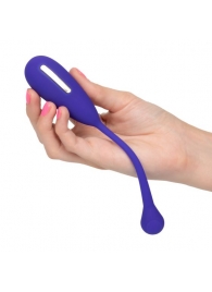 Фиолетовый шарик с электростимуляцией и вибрацией Intimate E-Stimulator Remote Kegel Exerciser - California Exotic Novelties - купить с доставкой в Тюмени