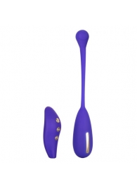 Фиолетовый шарик с электростимуляцией и вибрацией Intimate E-Stimulator Remote Kegel Exerciser - California Exotic Novelties - купить с доставкой в Тюмени