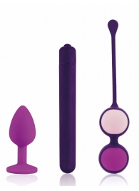 Фиолетовый вибронабор First Vibe Kit - Rianne S