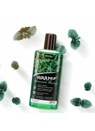 Массажное масло WARMup Mint с ароматом мяты - 150 мл. - Joy Division - купить с доставкой в Тюмени