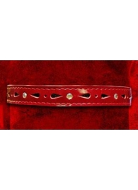 Красный декоративный ошейник со стразами - Подиум - купить с доставкой в Тюмени