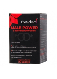 Капсулы для мужчин Erotichard male power с пантогематогеном - 20 капсул (0,370 гр.) - Erotic Hard - купить с доставкой в Тюмени