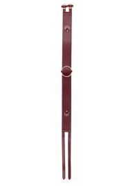 Бордовый ремень Halo Waist Belt - размер L-XL - Shots Media BV - купить с доставкой в Тюмени