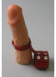 Красный кожаный поводок на пенис с кнопками - Sitabella - купить с доставкой в Тюмени
