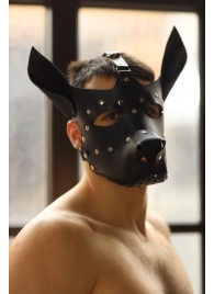 Эффектная маска собаки с металлическими заклепками - БДСМ Арсенал - купить с доставкой в Тюмени