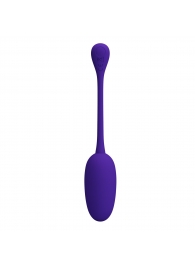 Фиолетовое перезаряжаемое виброяйцо Knucker - Baile