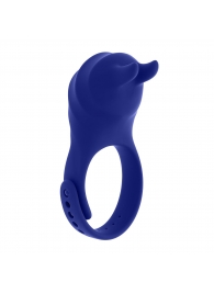 Синее эрекционное виброкольцо с клиторальной подушечкой и пультом ДУ Adjustable Fun Ring - Zero Tolerance - в Тюмени купить с доставкой
