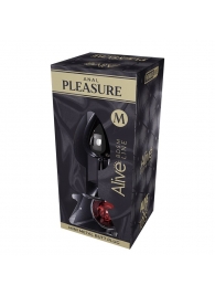 Серебристая анальная втулка Mini Metal Butt Plug Size M с красным кристаллом - Adrien Lastic в Тюмени Серебристая анальная втулка Mini Metal Butt Plug Size M с красным кристаллом - Adrien Lastic