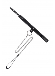 Черный узкий однослойный ошейник с серебристым поводком-цепочкой - Pecado - купить с доставкой в Тюмени