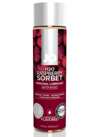 Лубрикант на водной основе с ароматом малины JO Flavored Raspberry Sorbet - 120 мл. - System JO - купить с доставкой в Тюмени