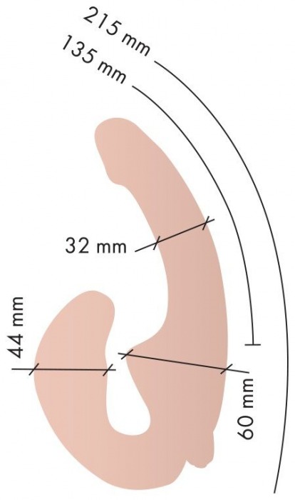 Телесный анатомический страпон с вибрацией - Главсексмаг - купить с доставкой в Тюмени