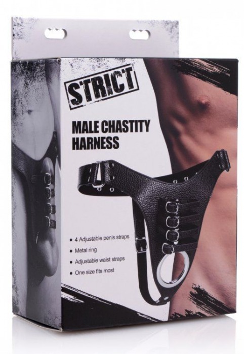 Мужской пояс верности с ремешками Male Chastity Harness - XR Brands - купить с доставкой в Тюмени