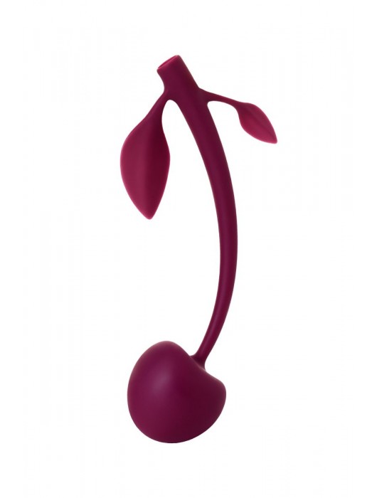 Бордовая вагинальная вишенка WILD CHERRY - 14,5 см. - JOS