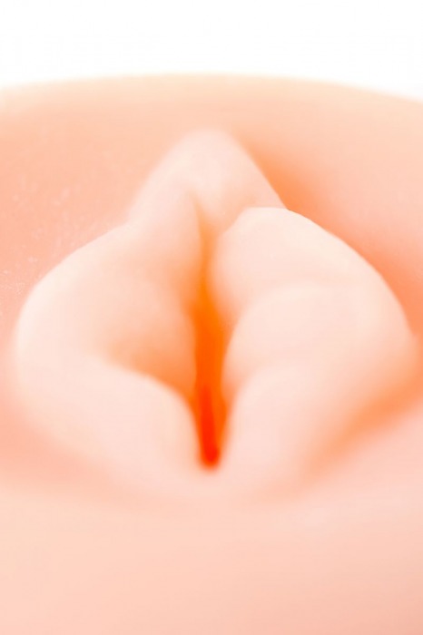 Телесная насадка-вагина на помпу PRETTY PUSSY - Sexus - в Тюмени купить с доставкой