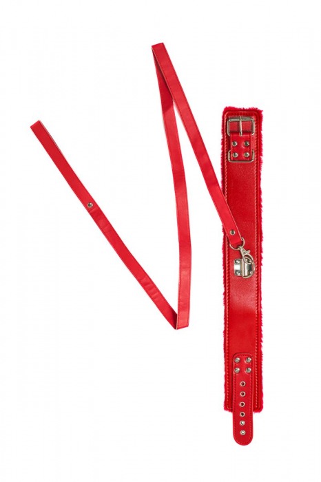 Красный ошейник Circus с поводком - Lola Games - купить с доставкой в Тюмени