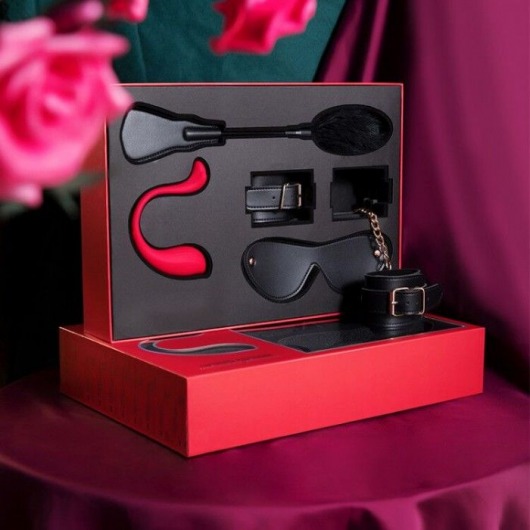 Эротический подарочный набор LIMITED EDITION BDSM GIFT BOX - Svakom - купить с доставкой в Тюмени