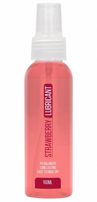 Лубрикант на водной основе с ароматом клубники Strawberry Lubricant - 100 мл. - Shots Media BV - купить с доставкой в Тюмени