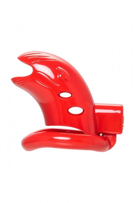 Красный мужской пояс верности из пластика - ToyFa - купить с доставкой в Тюмени