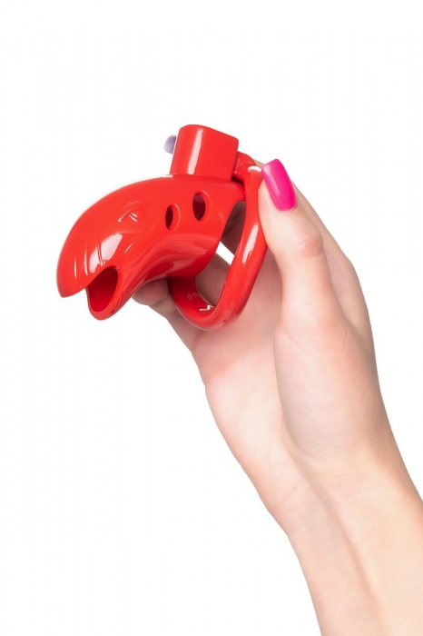 Красный мужской пояс верности из пластика - ToyFa - купить с доставкой в Тюмени