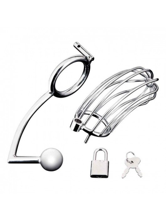 Серебристая металлическая клетка с анальным стимулятором Cock Cage - BlueLine - купить с доставкой в Тюмени