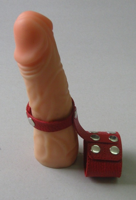 Красный кожаный поводок на пенис с кнопками - Sitabella - купить с доставкой в Тюмени
