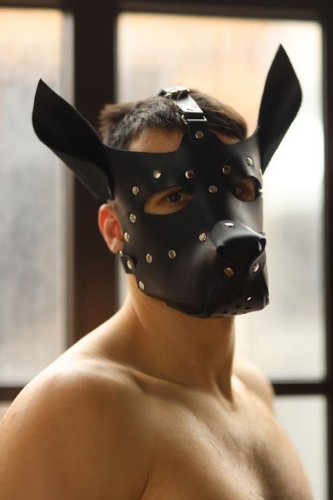 Эффектная маска собаки с металлическими заклепками - БДСМ Арсенал - купить с доставкой в Тюмени