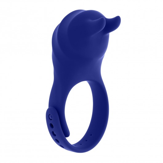 Синее эрекционное виброкольцо с клиторальной подушечкой и пультом ДУ Adjustable Fun Ring - Zero Tolerance - в Тюмени купить с доставкой