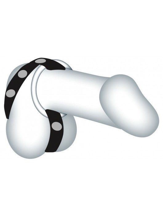 Подхват для мошонки с 3 съемными эрекционными кольцами Leder-Riemen - Orion - в Тюмени купить с доставкой