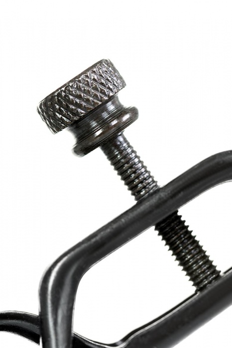 Черно-золотистые зажимы для сосков TOYFA Theatre - ToyFa - купить с доставкой в Тюмени