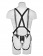 Страпон-система с телесной насадкой 12  Hollow Strap-On Suspender System - 30 см. - Pipedream - купить с доставкой в Тюмени