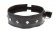 Полиуретановый ошейник с пуклями Collar with Studs - Blush Novelties - купить с доставкой в Тюмени Полиуретановый ошейник с пуклями Collar with Studs - Blush Novelties - купить с доставкой в Тюмени